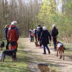 hundeschule-karlstedt-peeringsmaar-april-2022-04